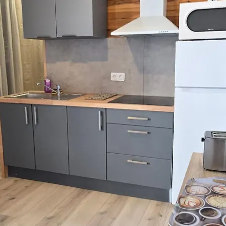 Le Chalet Du Sanctuaire Climatise Parking Apartment